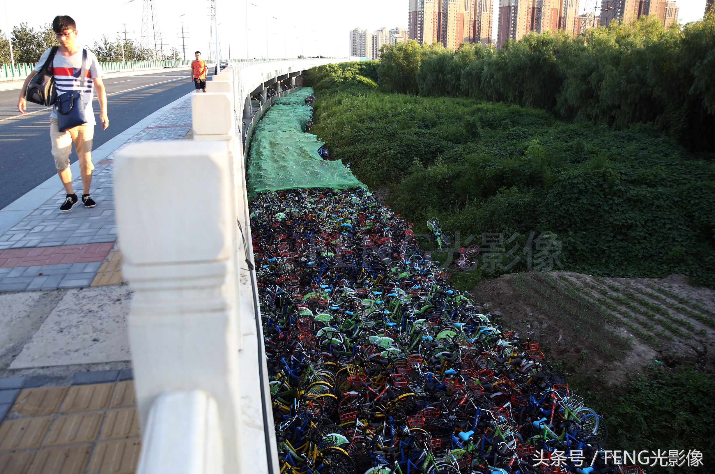 上海、广州、深圳等地“叫停“投放共享单车 下一个会是北京吗？